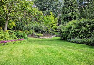 Optimiser l'expérience du jardin à Rognac